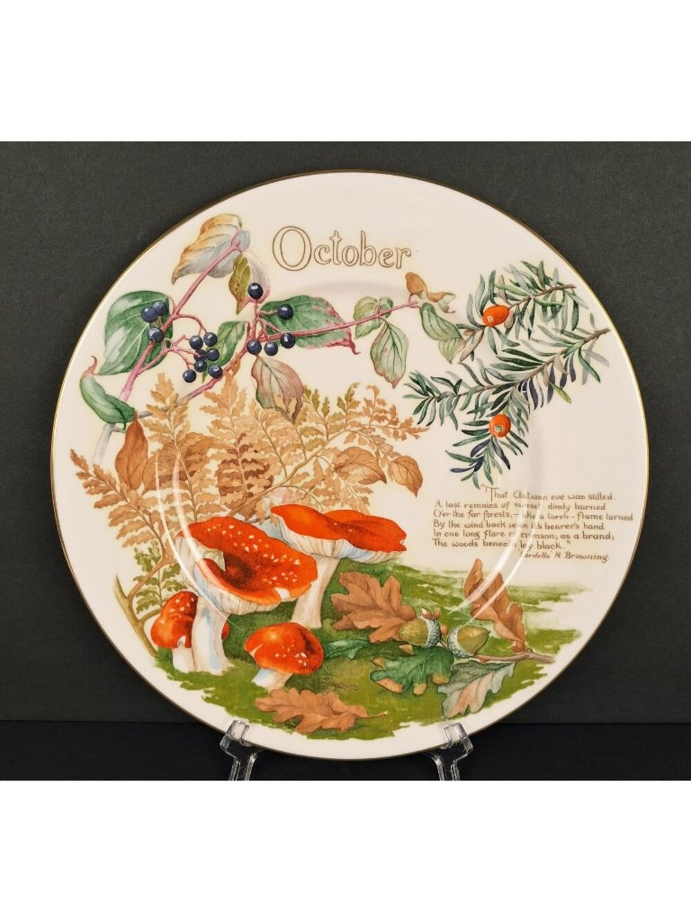 Caverswall Calendar Plates the Country Diary of An Edwardian Lady - Mushroom &